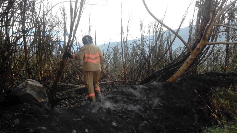 Emergencias-2_045